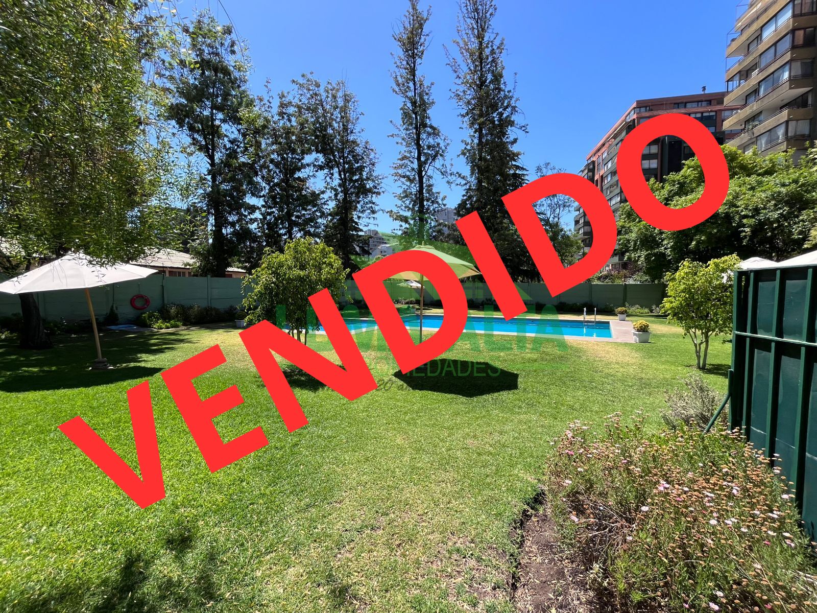 WhatsApp-Image-2024-12-10-at-13.11.27