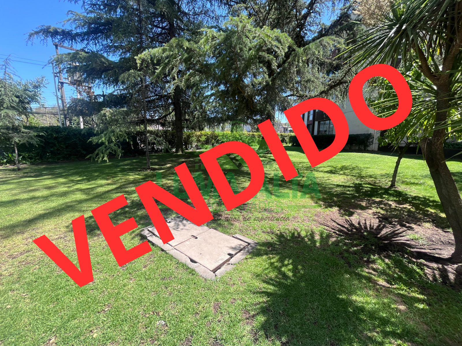 WhatsApp-Image-2024-12-10-at-13.11.30-2