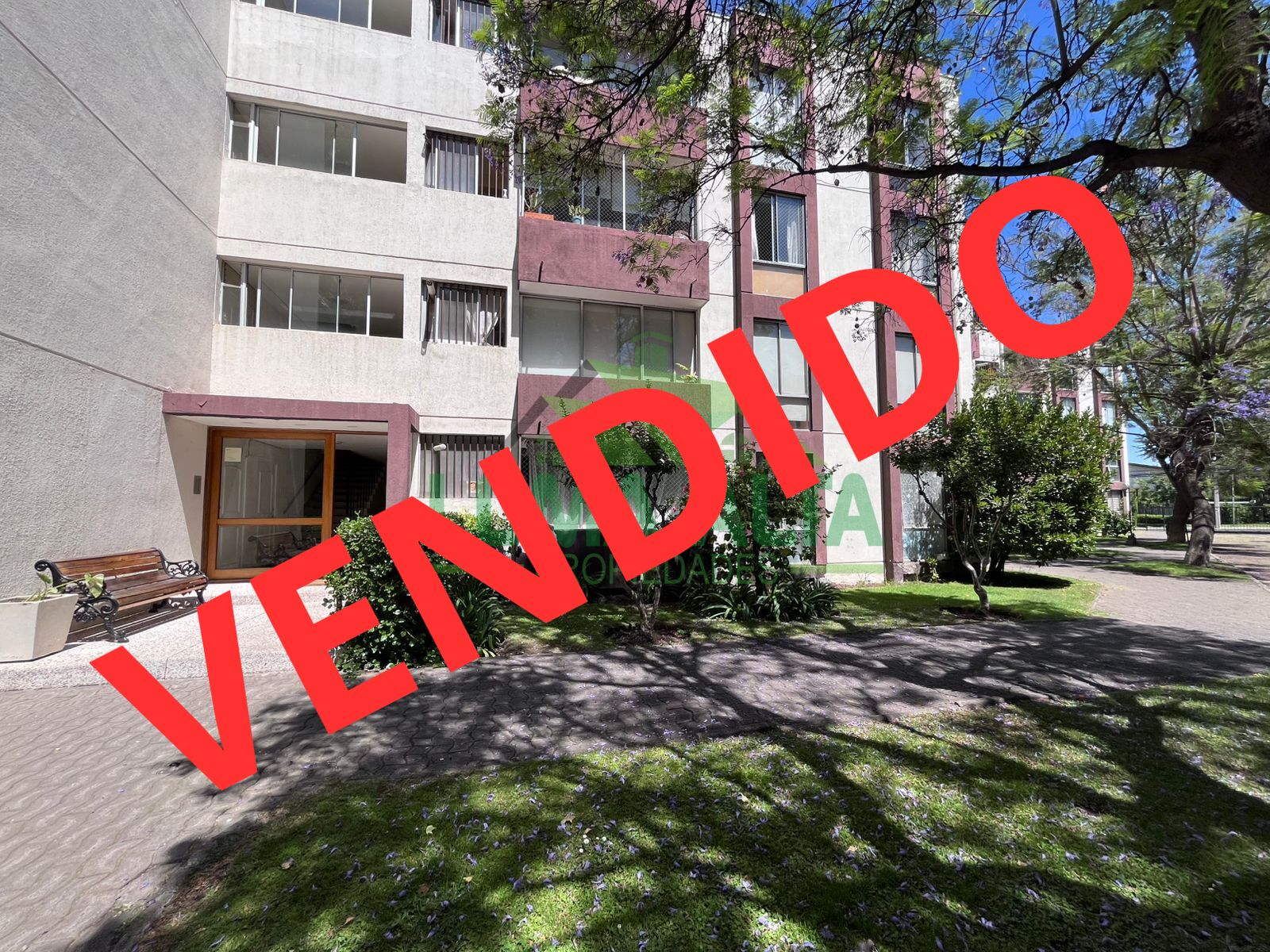 WhatsApp-Image-2024-12-10-at-13.11.34-2