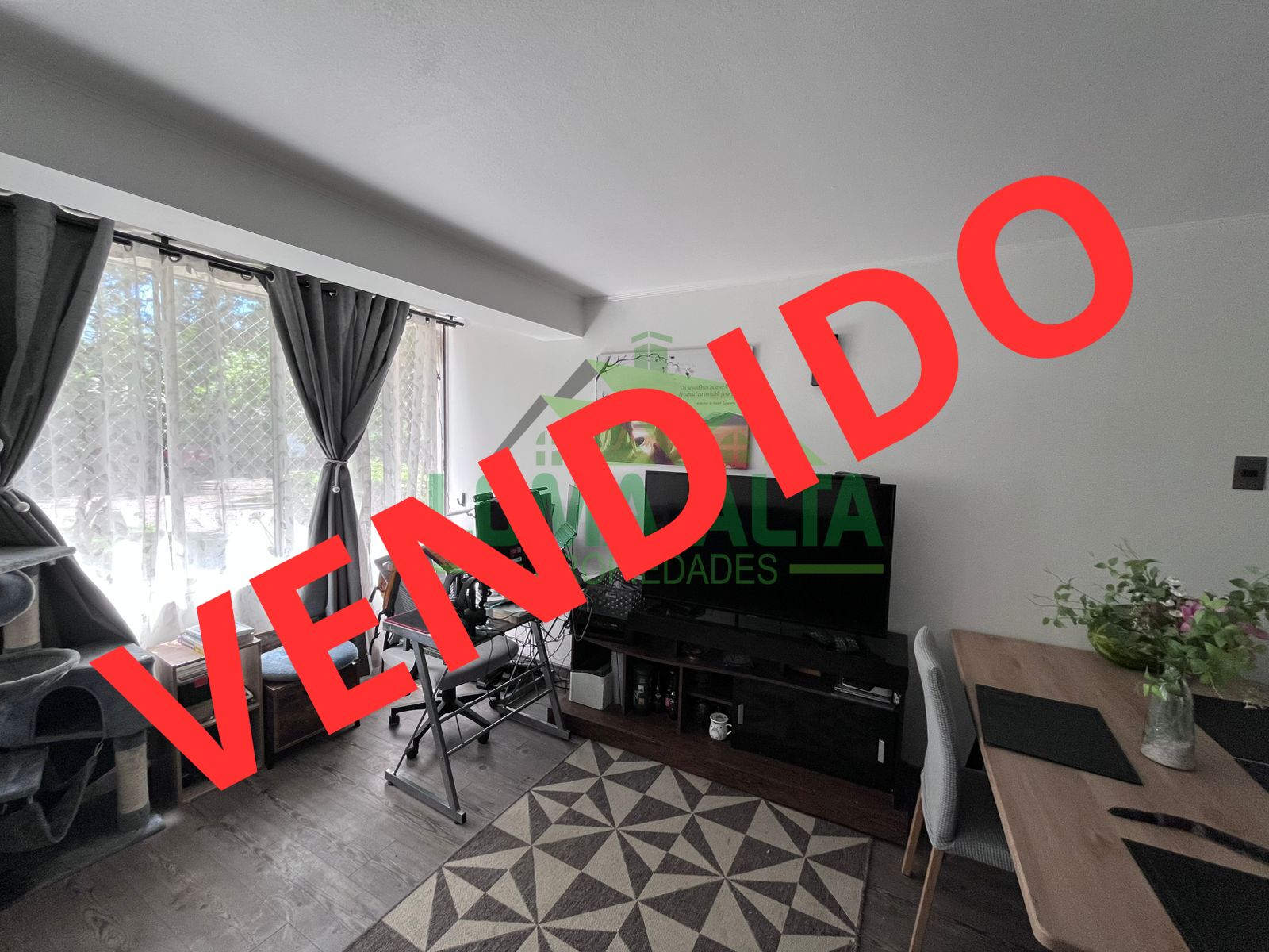 WhatsApp-Image-2024-12-10-at-13.11.36-2