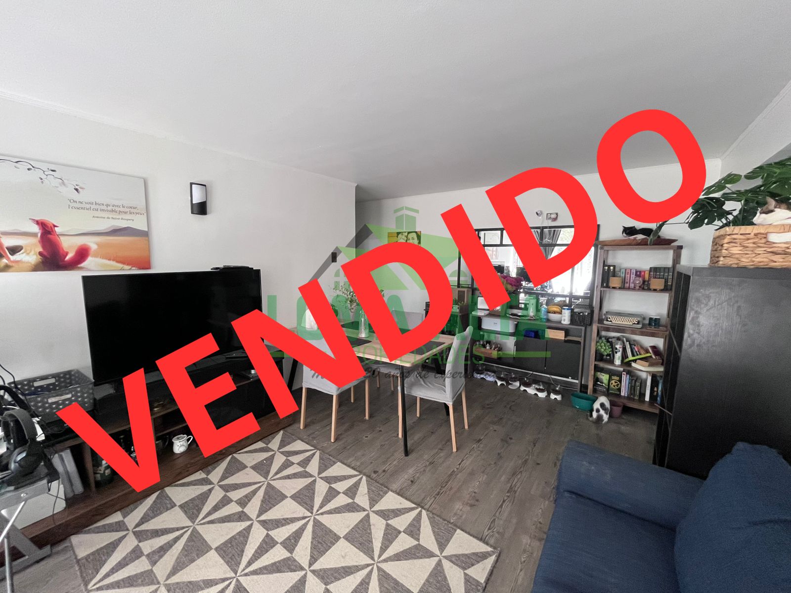 WhatsApp-Image-2024-12-10-at-13.11.36