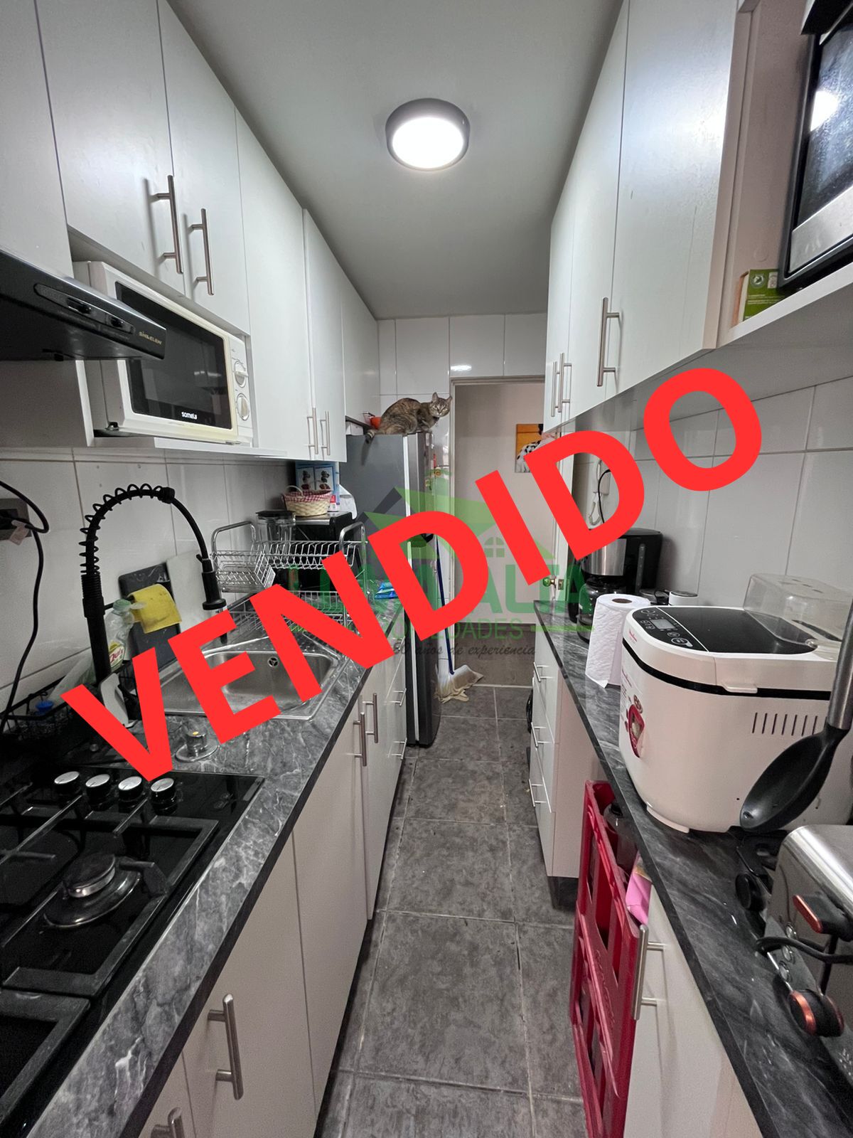 WhatsApp-Image-2024-12-10-at-13.11.38-1