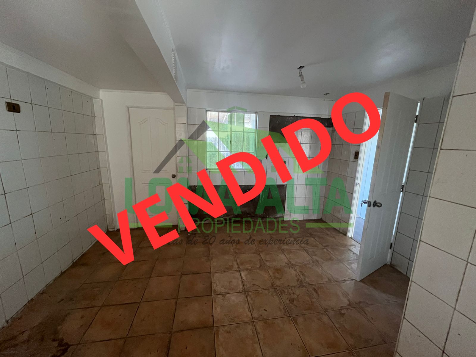 WhatsApp-Image-2025-01-27-at-11.00.01-1