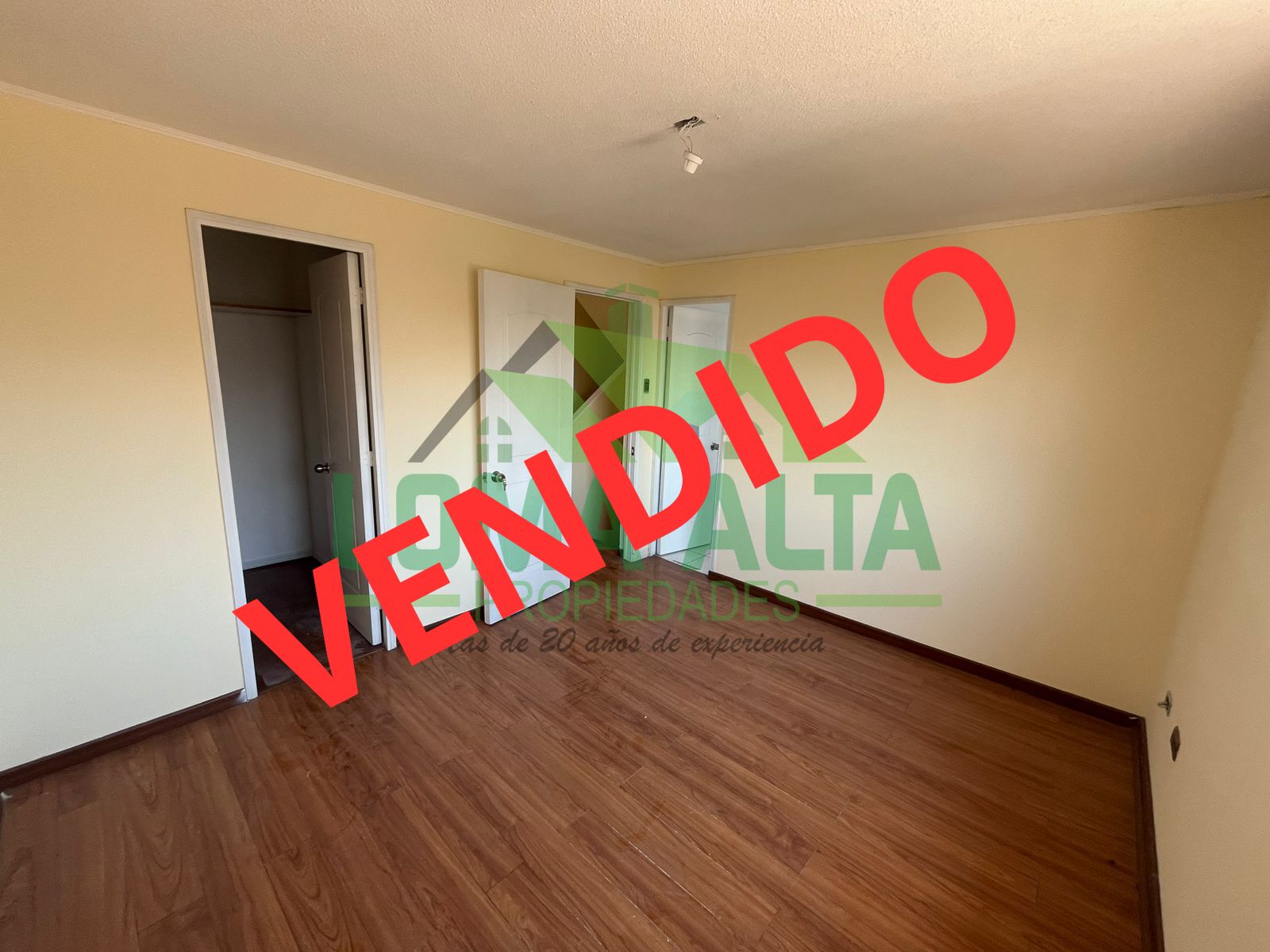 WhatsApp-Image-2025-01-27-at-11.00.06-1