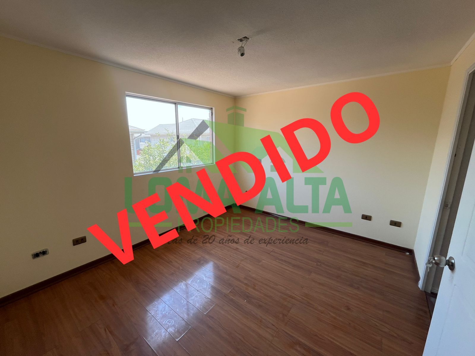 WhatsApp-Image-2025-01-27-at-11.00.06-2