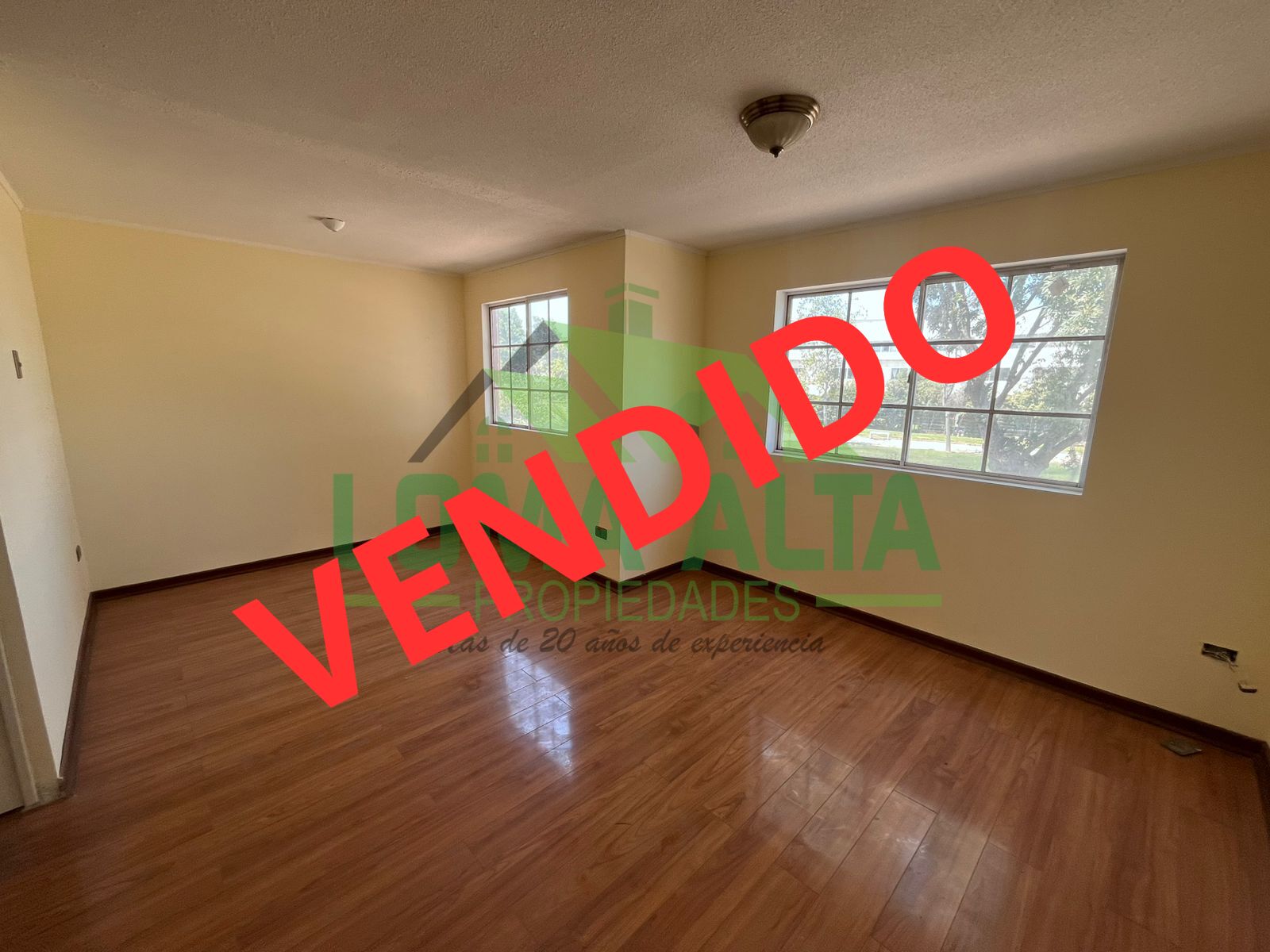 WhatsApp-Image-2025-01-27-at-11.00.06