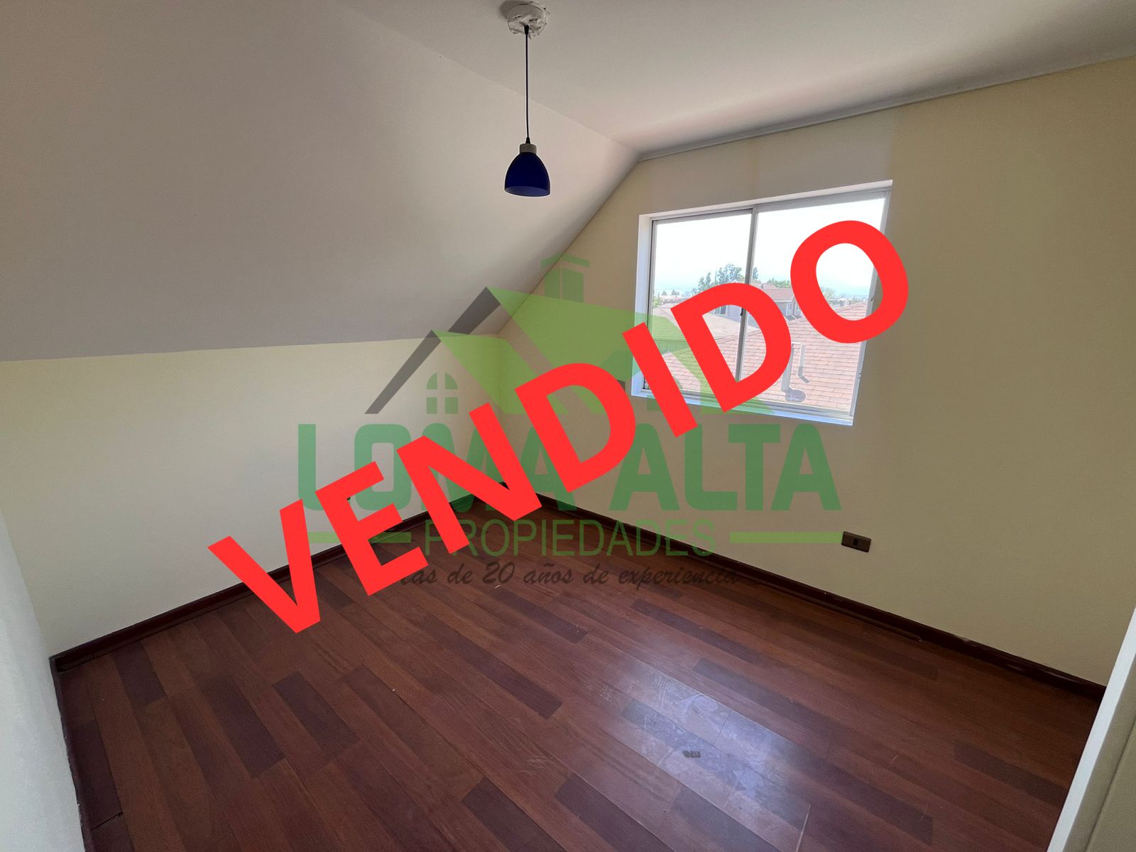 WhatsApp-Image-2025-01-27-at-11.00.09-1