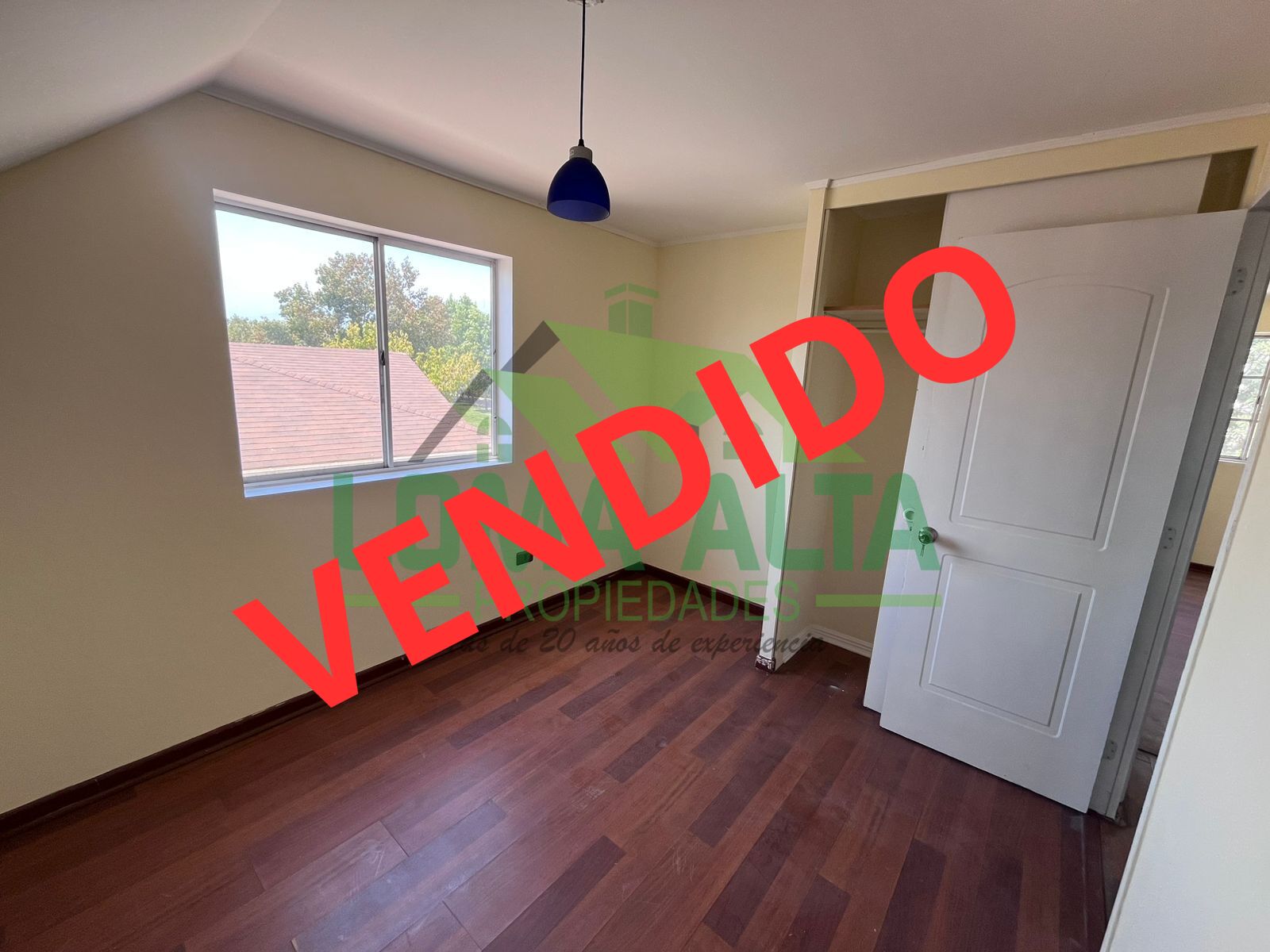 WhatsApp-Image-2025-01-27-at-11.00.09