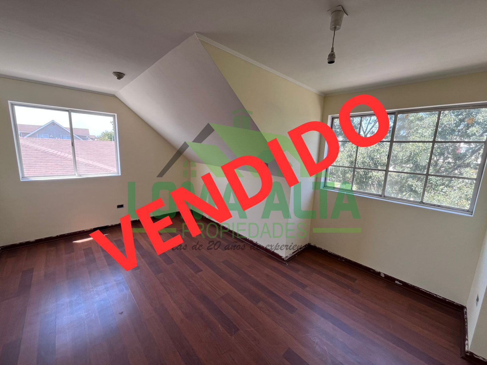 WhatsApp-Image-2025-01-27-at-11.00.10-1