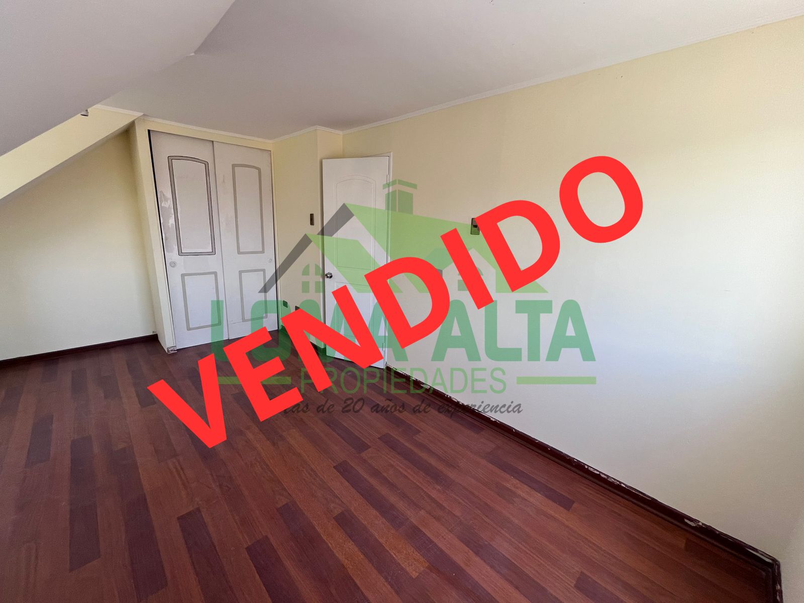 WhatsApp-Image-2025-01-27-at-11.00.10