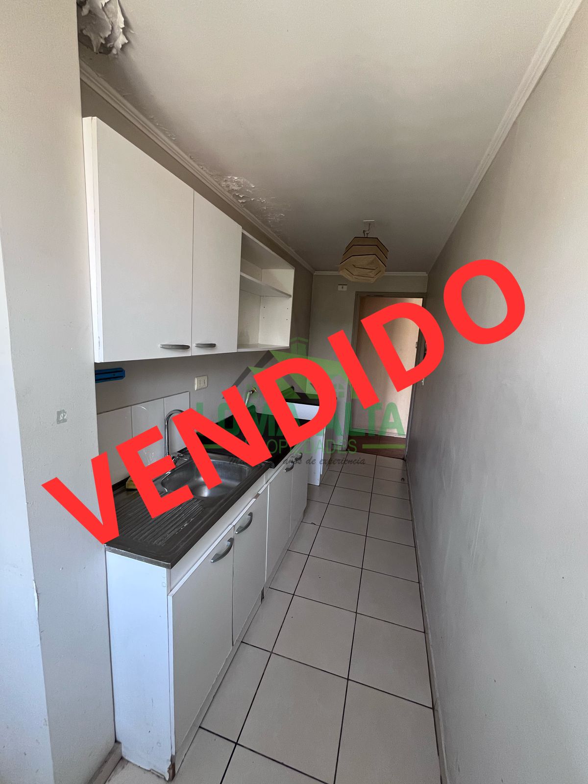 WhatsApp-Image-2025-04-07-at-19.03.52