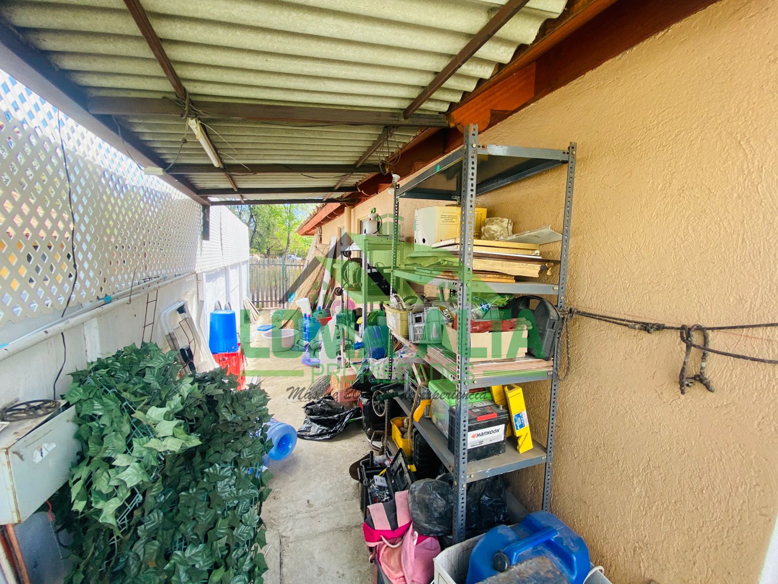 WhatsApp-Image-2025-10-05-at-15.08.31