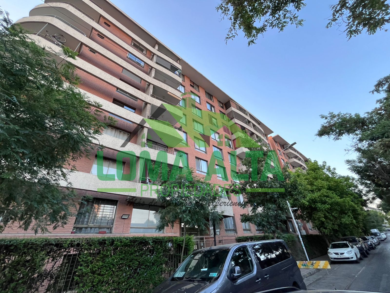 WhatsApp-Image-2026-01-19-at-20.31.37