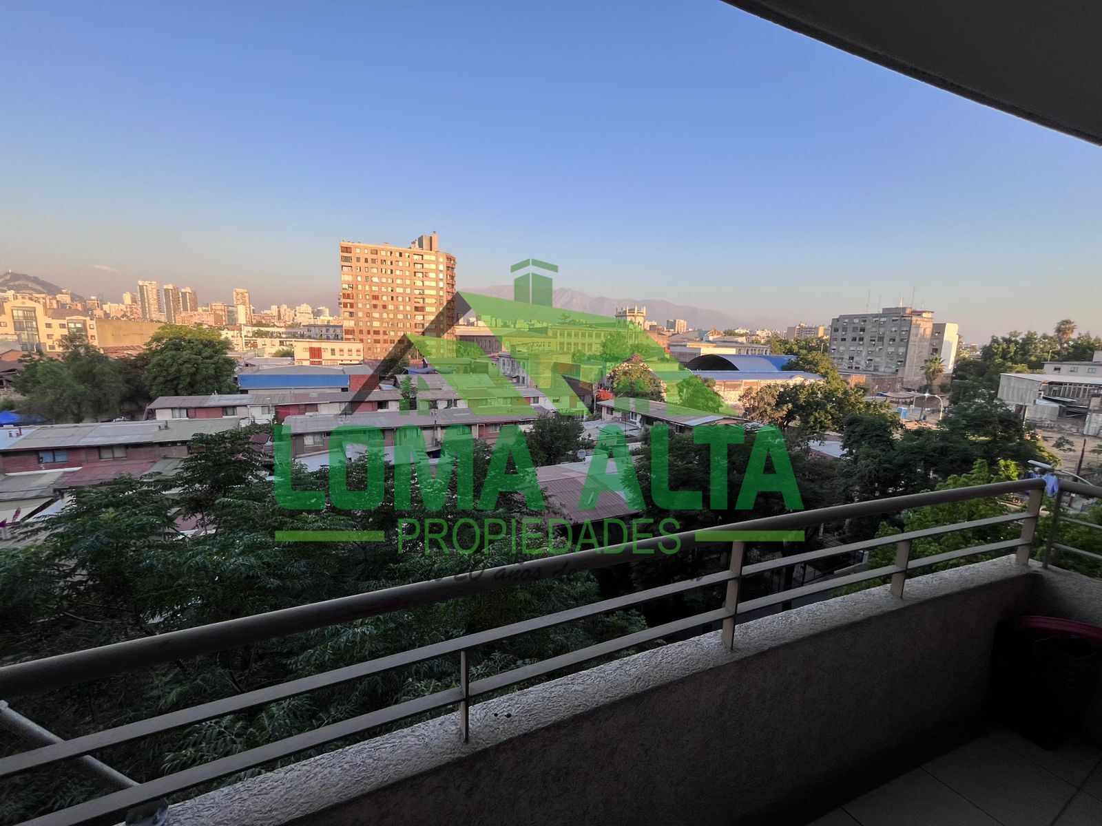 WhatsApp-Image-2026-01-19-at-20.31.38-1