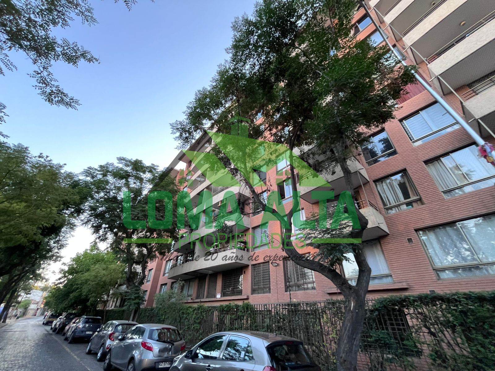 WhatsApp-Image-2026-01-19-at-20.31.38-11