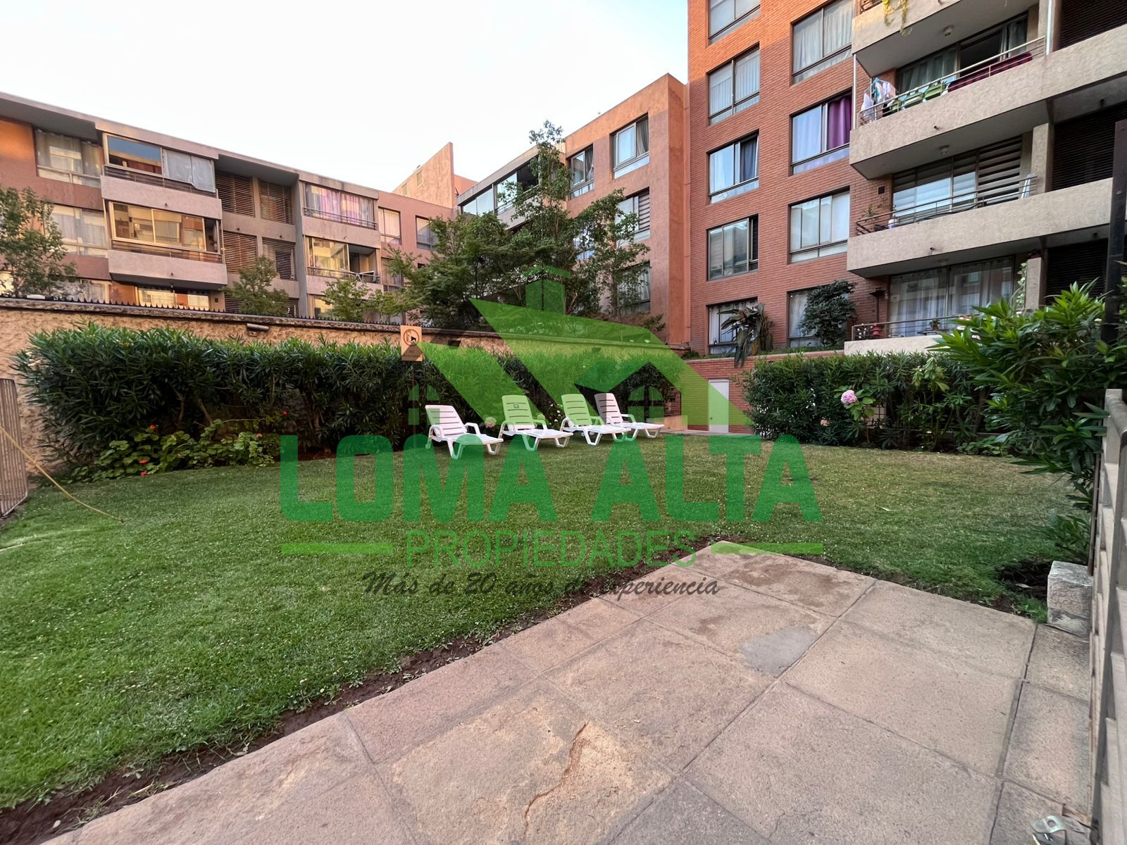 WhatsApp-Image-2026-01-19-at-20.31.38-8