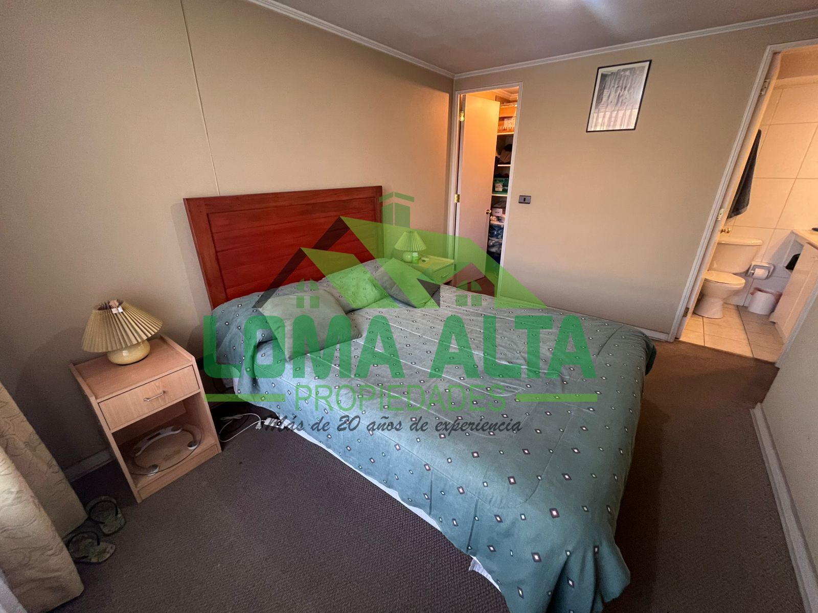 WhatsApp-Image-2026-01-19-at-20.31.39-7