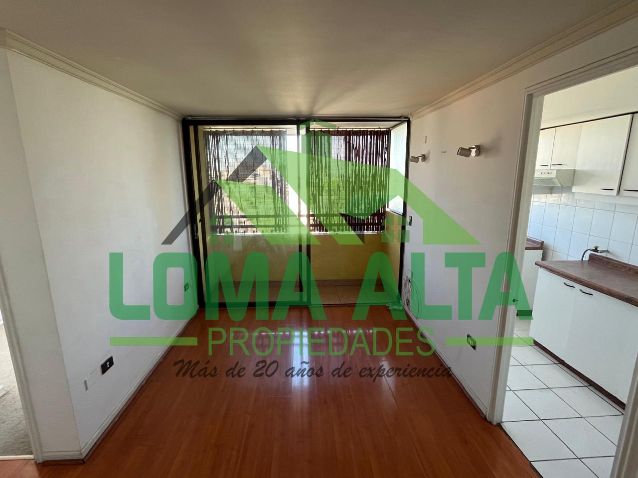 WhatsApp-Image-2026-01-27-at-12.31.53-4