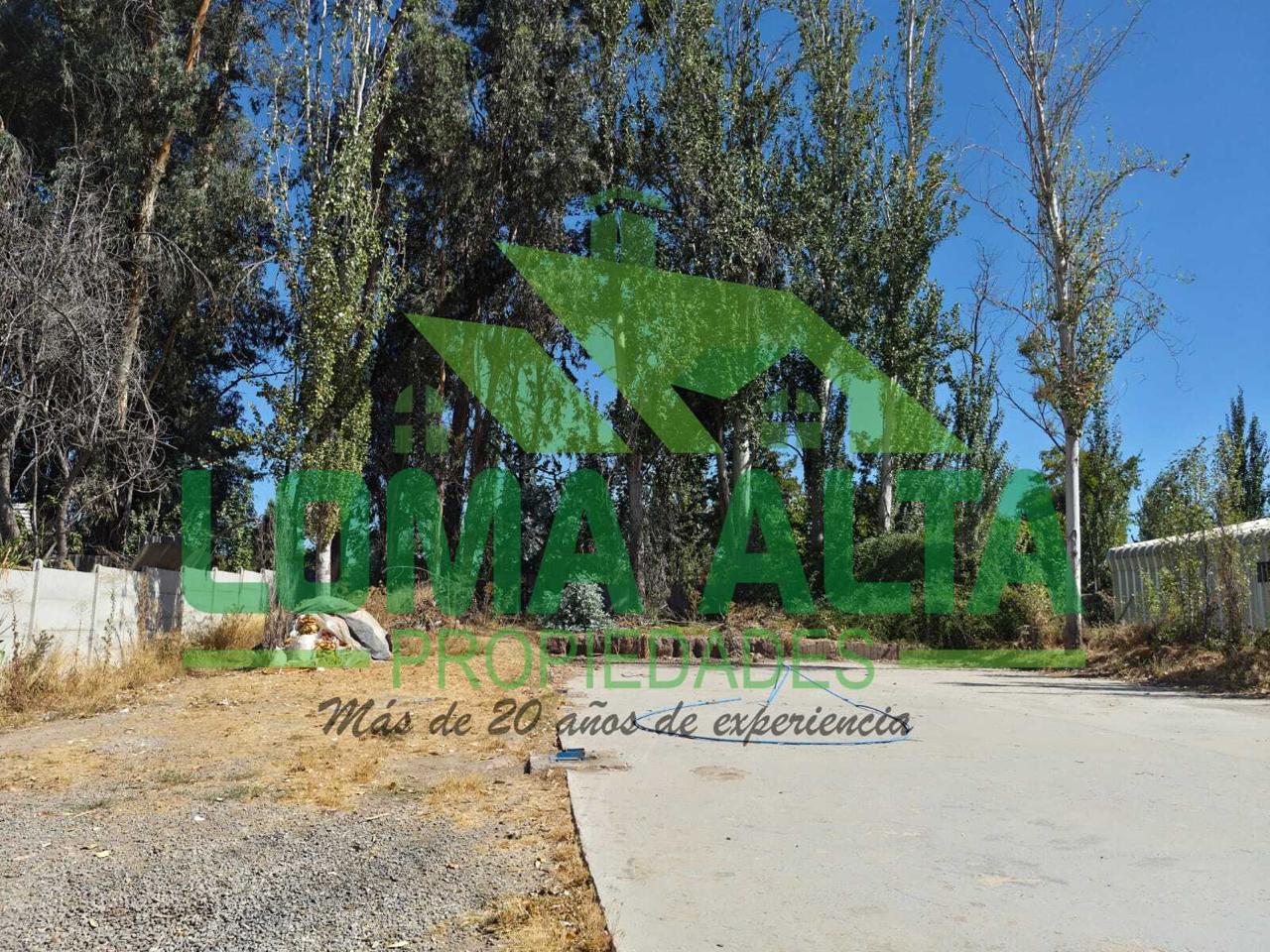 WhatsApp-Image-2026-02-25-at-19.23.26-10