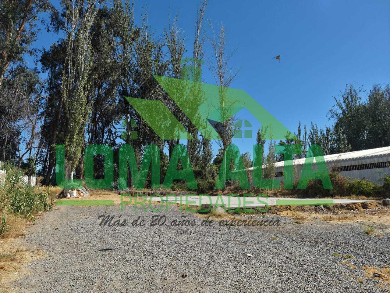 WhatsApp-Image-2026-02-25-at-19.23.26-11