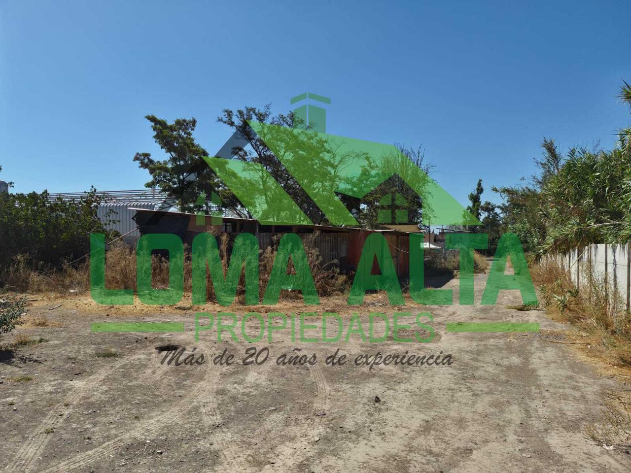 WhatsApp-Image-2026-02-25-at-19.23.26-3