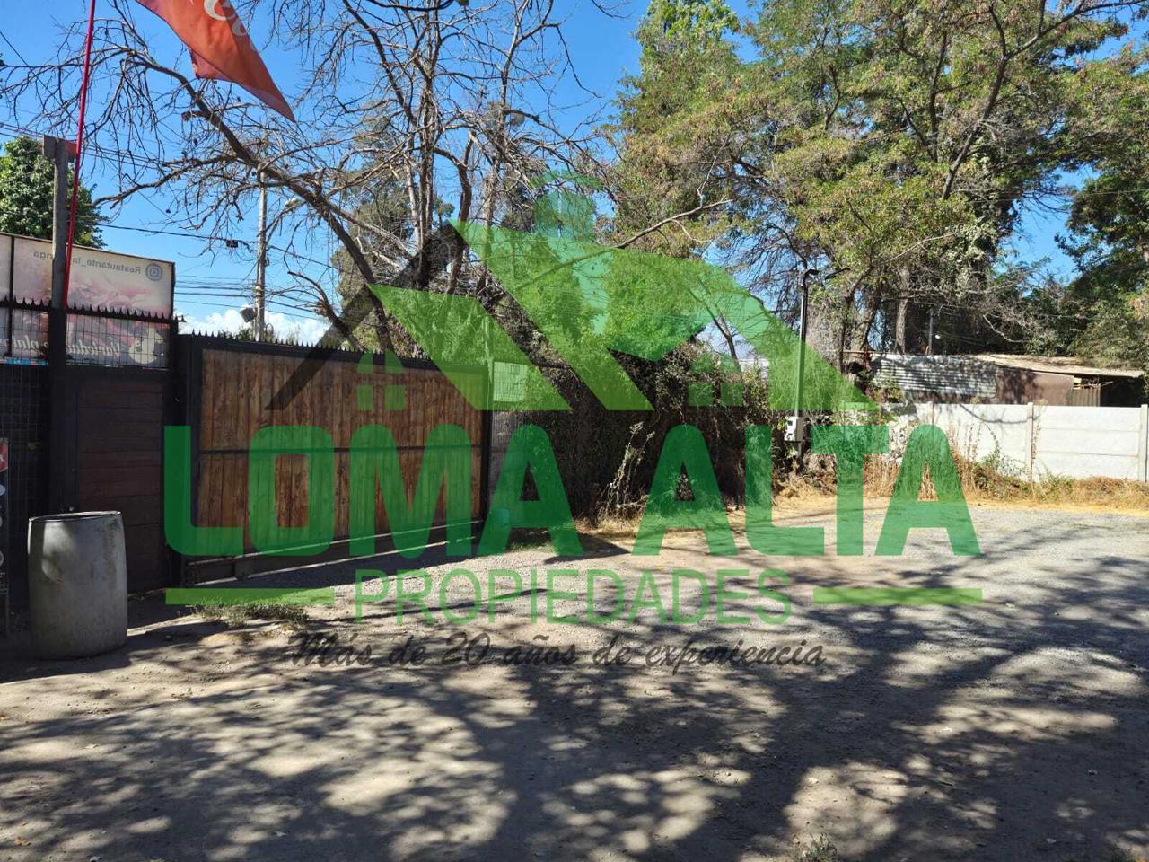 WhatsApp-Image-2026-02-25-at-19.23.26-6