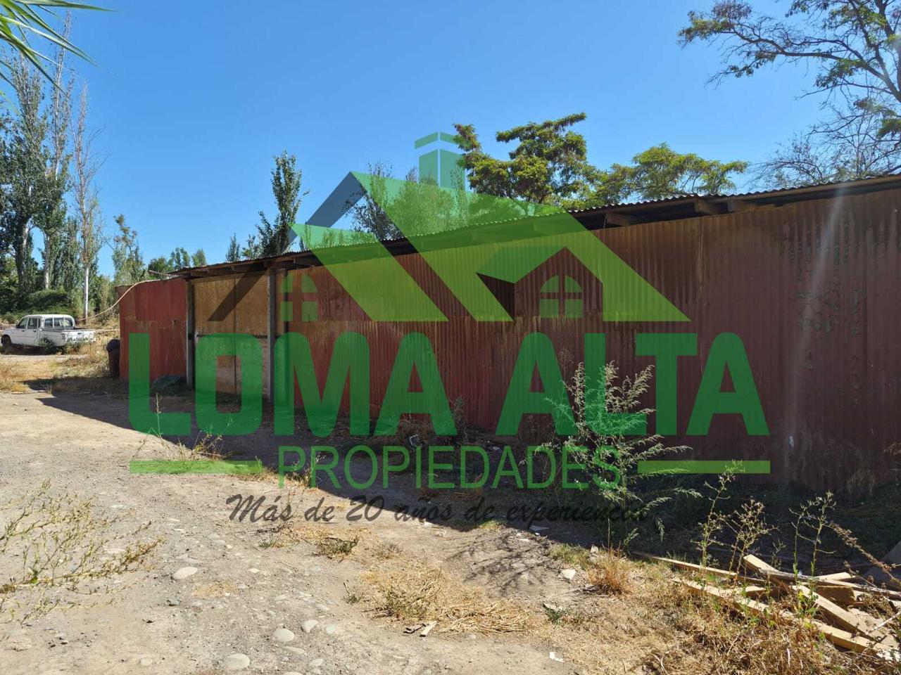 WhatsApp-Image-2026-02-25-at-19.23.26-7