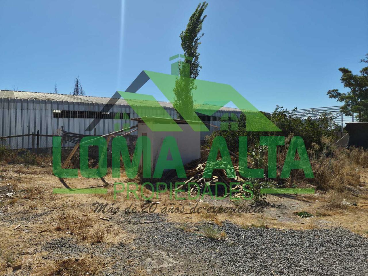 WhatsApp-Image-2026-02-25-at-19.23.26-8